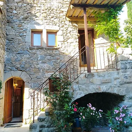 Les Chataigniers Gites Du Mas Haut Saint-Jean-du-Gard Exterior photo