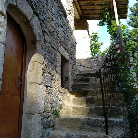 Les Chataigniers Gites Du Mas Haut Saint-Jean-du-Gard Exterior photo