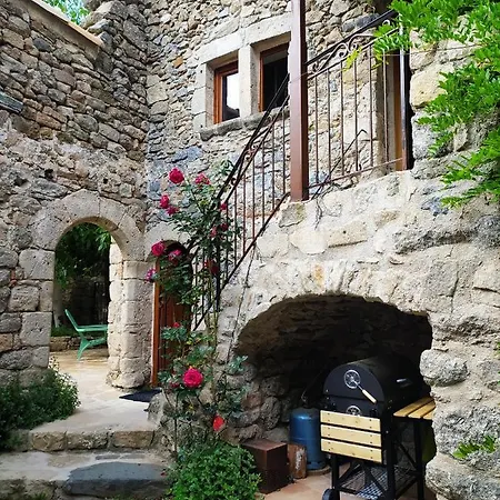 Les Chataigniers Gites Du Mas Haut Saint-Jean-du-Gard Exterior photo